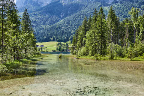 Gemeinde Ramsau Landkreis Berchtesgadener_Land Zauberwald und Hintersee (Dirschl Johann) Deutschland BGL